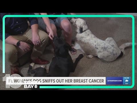 Florida woman's dog sniffs out her breast cancer
