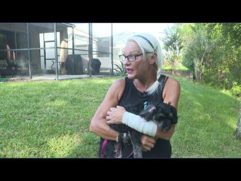 Tampa Bay-area woman recovering after being bit by alligator while trying to save her dog