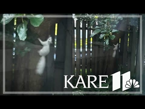 Your Good News: Rob, Candy Sartell, Kay Rosheim