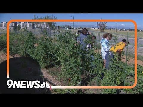 Denver middle school uses farm-based learning to teach sustainability