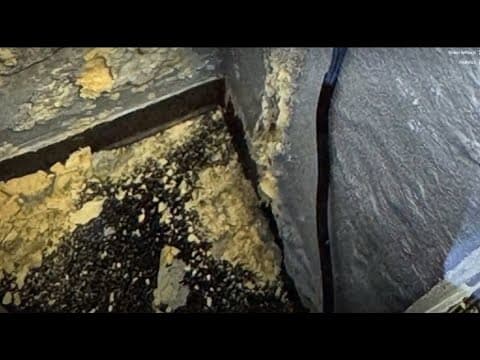 Black mold found in New Orleans Sewerage and Water Board's building