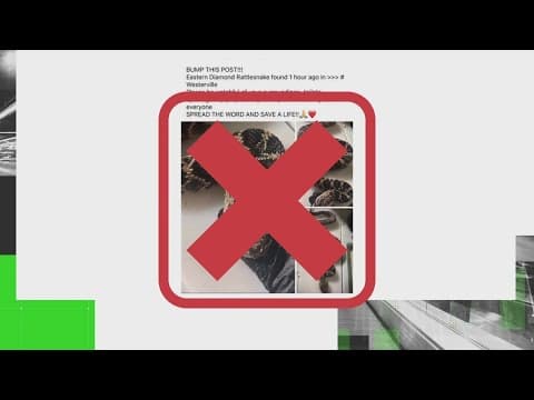 VERIFY: No, photo of rattlesnake in Westerville is not credible
