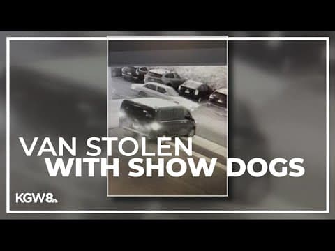 Four show dogs missing after van stolen