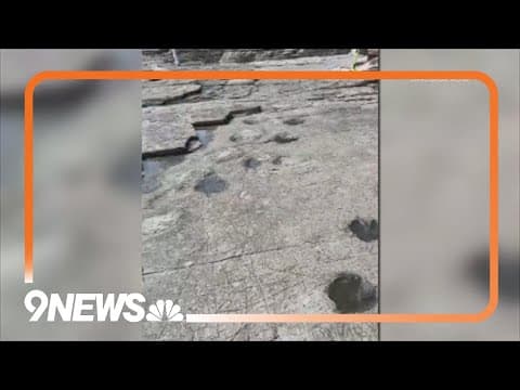 Paleontologist Dr. Martin Lockley, who cofounded Friends of Dinosaur Ridge, dies at 73