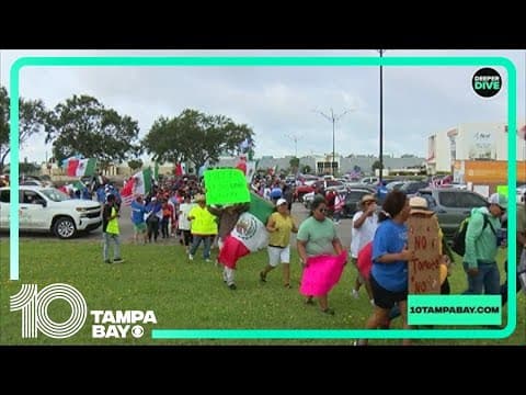 Deeper Dive: New immigration laws take effect in Florida