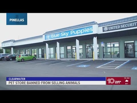 Pinellas County officials revoke pet store's permit after finding animals sick, in poor conditions