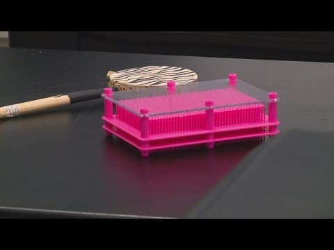 Hoosier families concerned about cuts to autism services