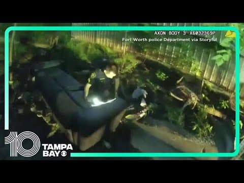 Kidnapped baby found: Video shows police rescue baby abandoned in ravine