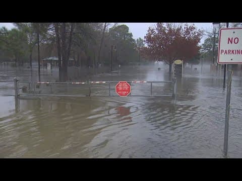 Eleven adults, one infant, five dogs and a horse were all rescued from a neighborhood near Conroe