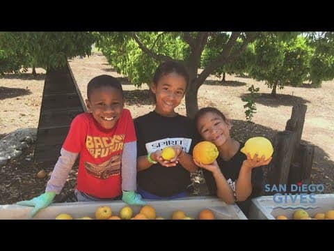 National Nonprofit Day: San Diego Gives