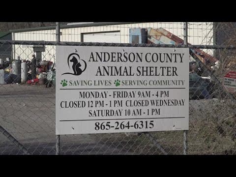 Anderson Co. Commission rejects animal shelter oversight committee, leaving community frustrated