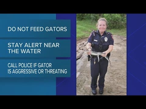 Houston-area residents advised to exercise caution as alligators become more active