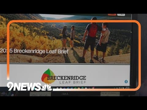 'Leaf Brief': Colorado mountain town providing real-time updates on fall leaves
