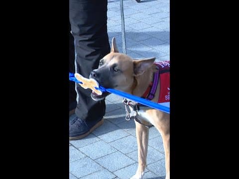 Dog cuts ribbon on new Elanco HQ