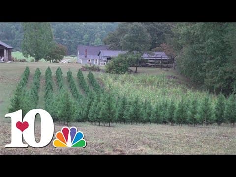 Some East TN farmers see crops impacted by drought and last year's cold weather