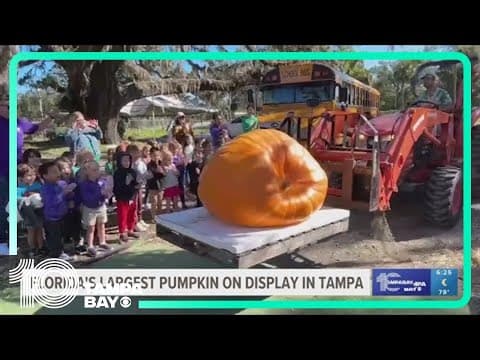 Florida's largest pumpkin arrives in Tampa