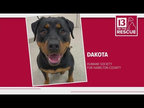 Pets of the Week: 1-20-2024