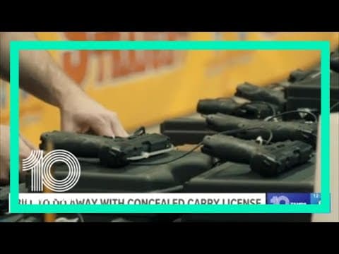 Tampa mother who lost daughter to gun violence advocates against concealed carry bill