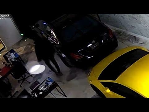 Thieves caught trying to steal car from dealership on opening week in Alexandria, raising concerns a