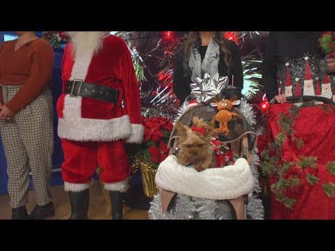 Gaslamp Pet Parade hits the streets on Saturday, December 14