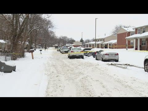 Homicide investigation underway after female found shot, killed on Indy's south side