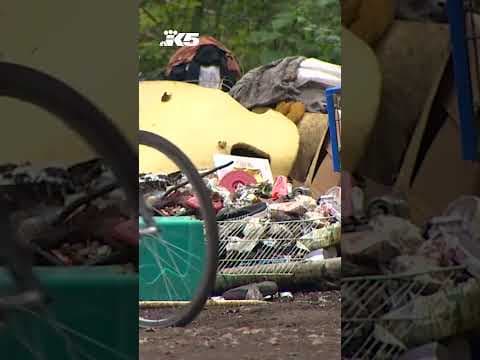 Bellingham sues property owner over 20 acre homeless camp
