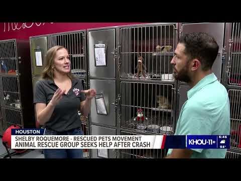 Is a ban on electric scooters in downtown Houston coming? | Texas News Now