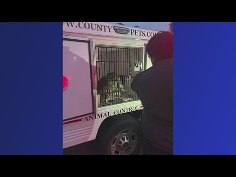 Good Samaritan rushes to help mother, 1-year-old who were attacked by pit bull