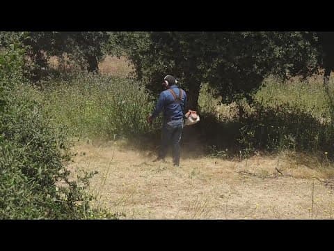 Julian residents preparing for fire season before it’s too late