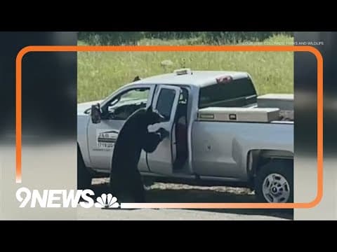 Coloradans have seen more bears this year, and CPW says it's because of the weather