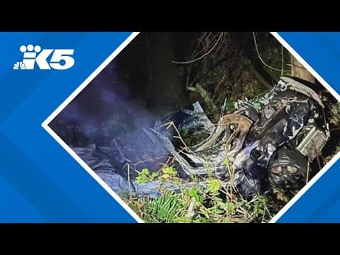 2 people, dog killed in single-vehicle crash in Port Orchard