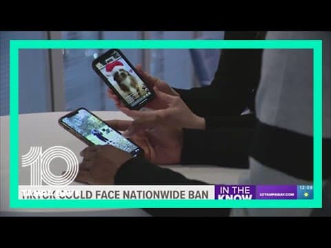 TikTok could face nationwide ban