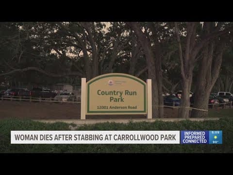 HCSO: Woman dies after stabbing at Carrollwood park; suspect facing charges
