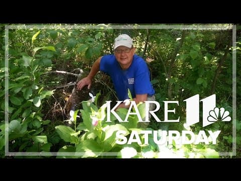 U of M's Landscape Arboretum Director retiring this month