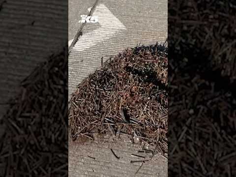 Man arrested for dumping nails on Hwy 16