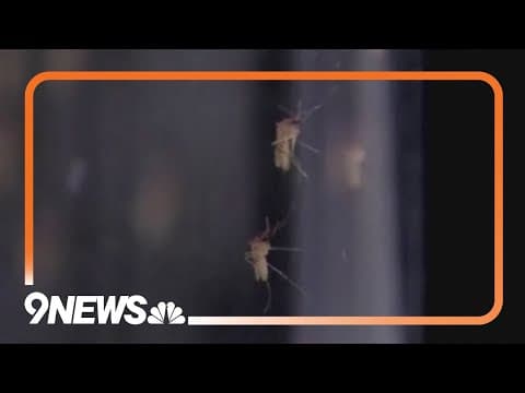 Colorado has its first deadly case of West Nile virus of the year