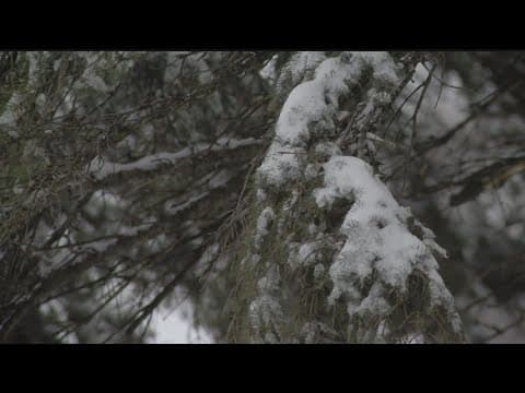 Latest moisture-packed snowstorm could put a dent in the drought