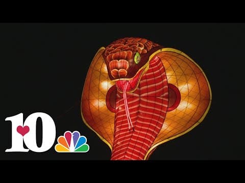 10About Town: Holiday events kick off in East Tennessee