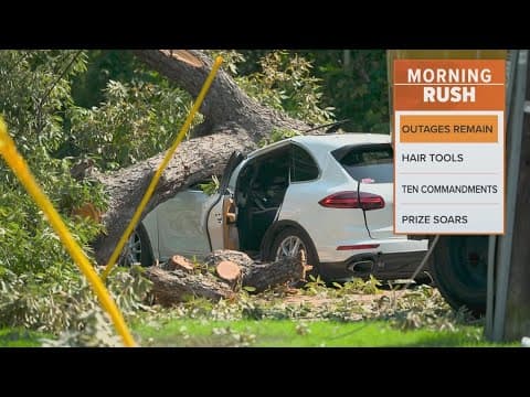 Woman hospitalized after a tree fell on her car near White Rock Lake