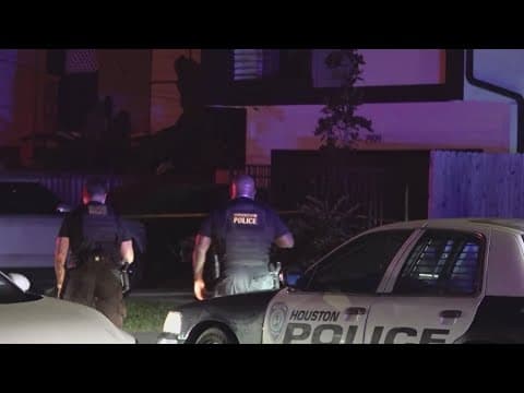 New data shows what Houston-area voters really think about neighborhood crime and police