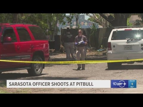 Dog bite call prompts Sarasota officer to shoot at pit bull