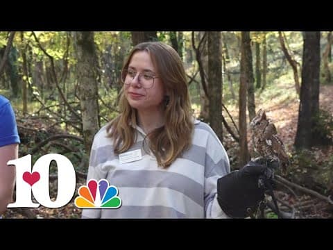 Ijams Nature Center getting into the Halloween spirit with fall activities