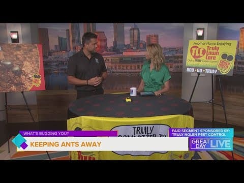 What's Bugging you? Summer time ants