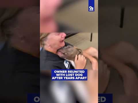 Owner reunited with lost dog after years apart