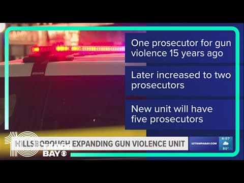 Hillsborough County to expand gun violence unit