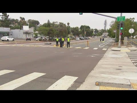 Police investigating after a man was hit and killed by a car in Oak Park