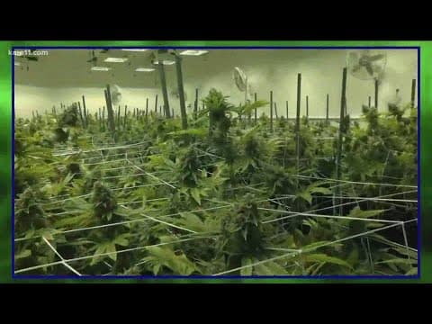 Legal marijuana bill moves forward in legislature