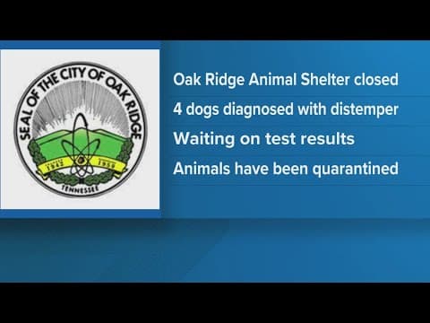 Oak Ridge Animal Shelter closed after dogs diagnosed with distemper