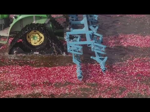 Did you know that most of the nation's cranberries are grown in Wisconsin?