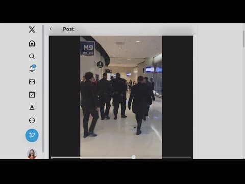 Rapper and activist Killer Mike arrested at Grammy's